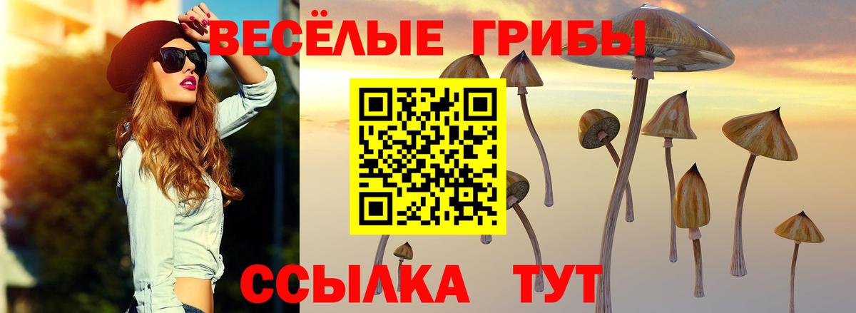 Псилоцибиновые грибы Magic Shrooms  Галлюциногенные грибы MAGIC MUSHROOMS  Саяногорск  Вход с VPN 